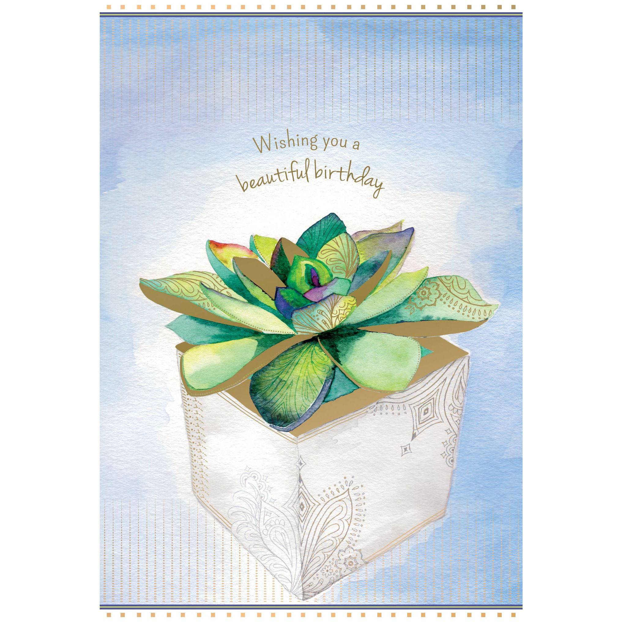 Pictura succulent in a planter birthday card, featuring a realistic illustration of green succulents in a small pot on a white background